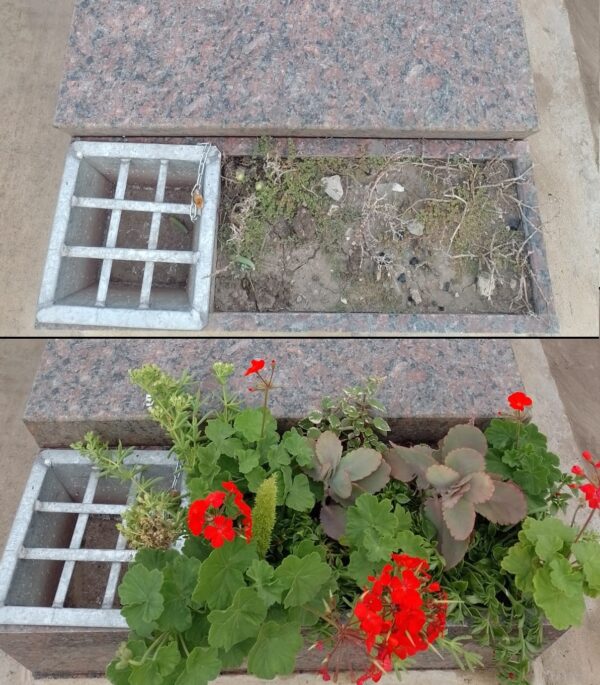 maceta-2-1.jpg Replacing plants in flowerbed